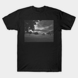 Dream Yard with Dramatic Sky Photography V4 T-Shirt